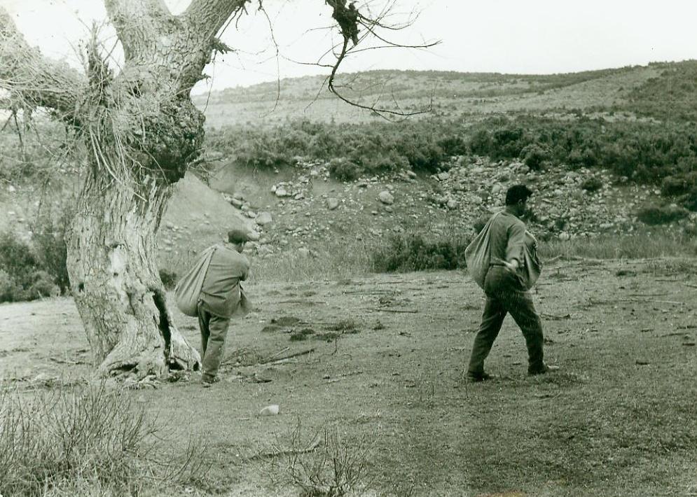 Γενικά Αρχεία του Κράτους – Γ.Α.Κ. - Τμήμα Ν. Ροδόπης – photo arxeia